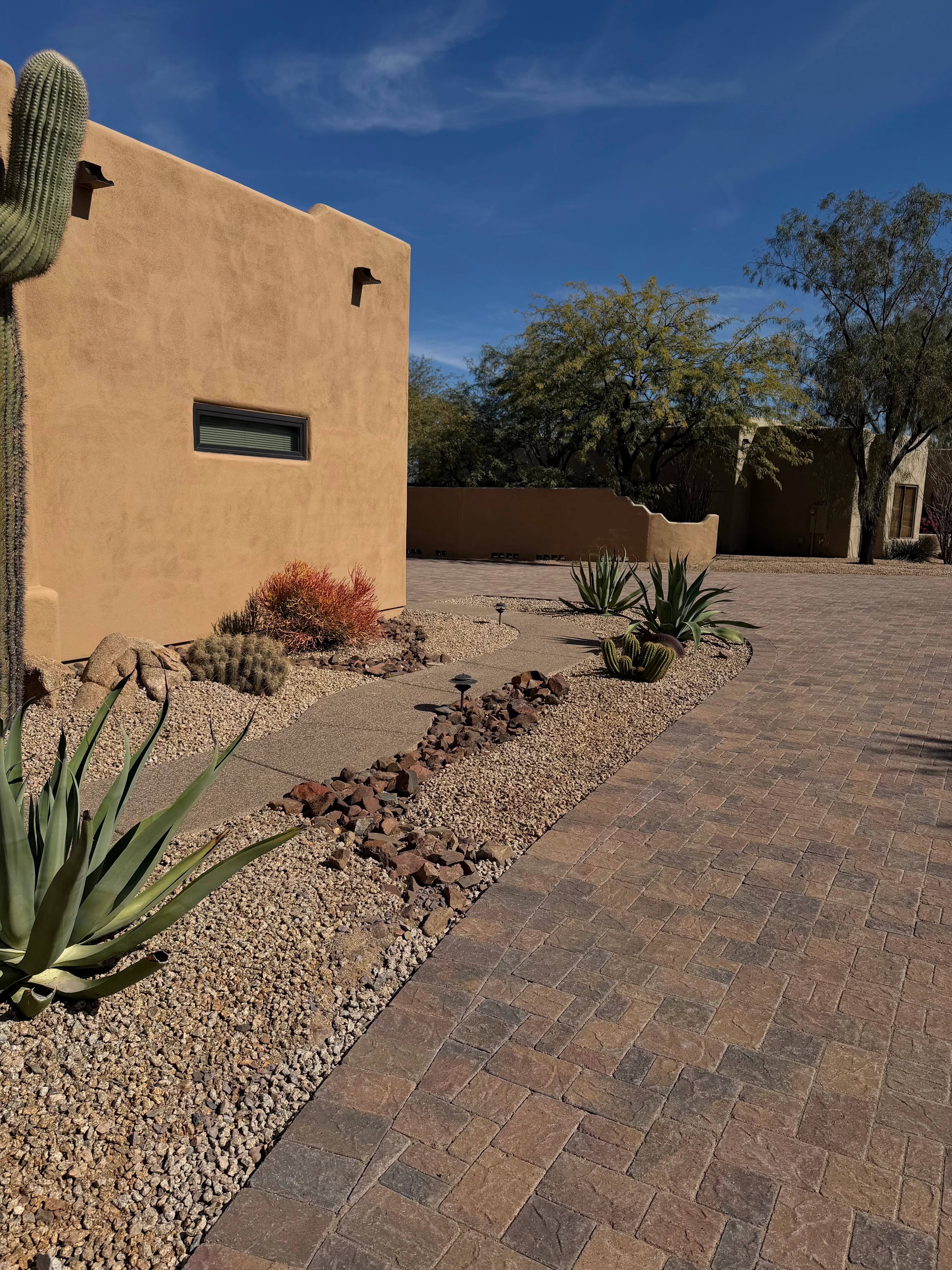 Desert courtyard with saguaro cactus, agave plants, gravel beds, and russet pavers