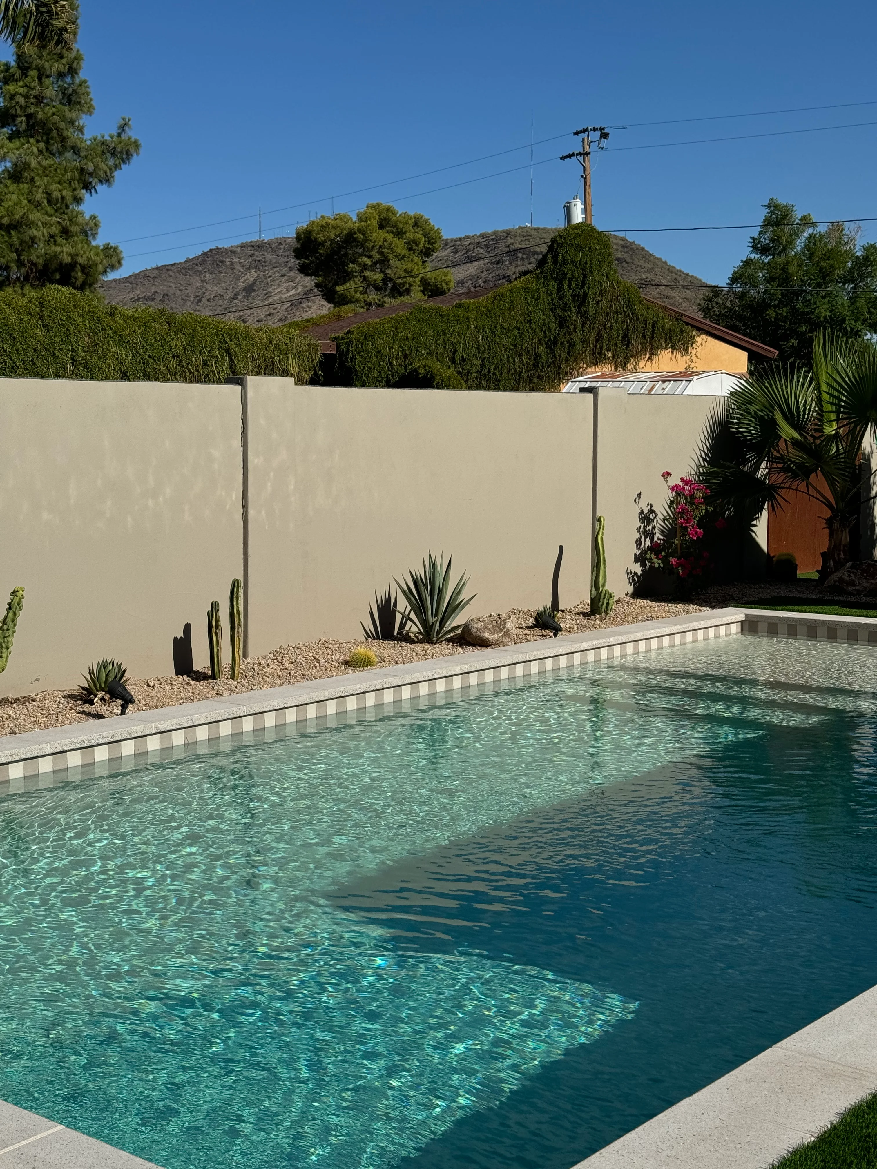 Modern pool with cream stucco privacy wall, desert plants, and concrete deck in Phoenix